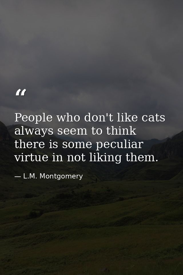 People who don't like cats always seem to think there is some peculiar virtue in not liking them. — L.M. Montgomery