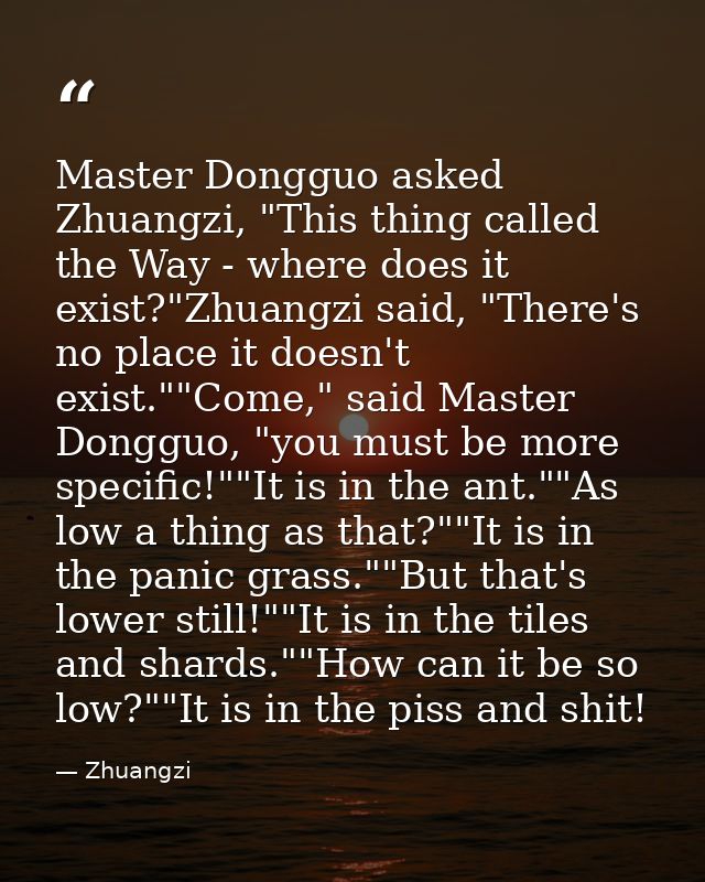 Master Dongguo asked Zhuangzi, "This thing called the Way - where does it exist?"Zhuangzi said, "There's no place it doe — Zhuangzi