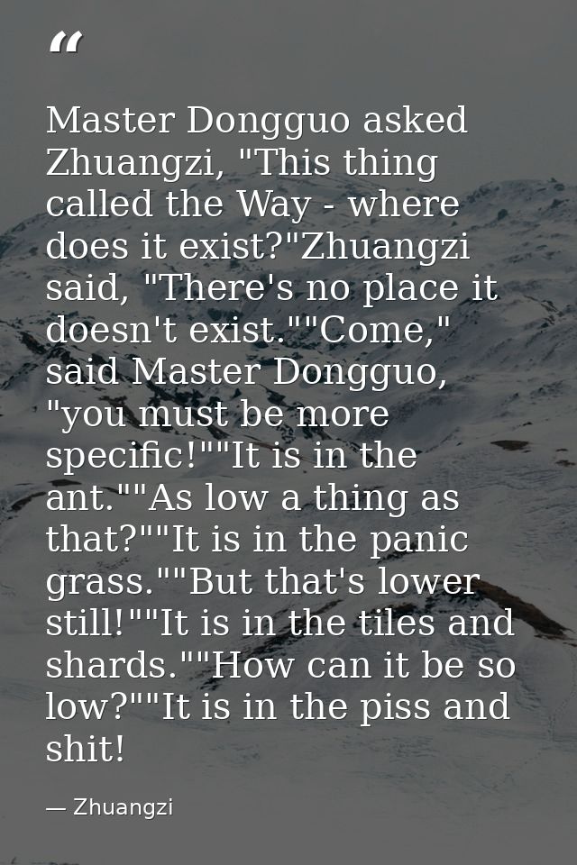 Master Dongguo asked Zhuangzi, "This thing called the Way - where does it exist?"Zhuangzi said, "There's no place it doe — Zhuangzi