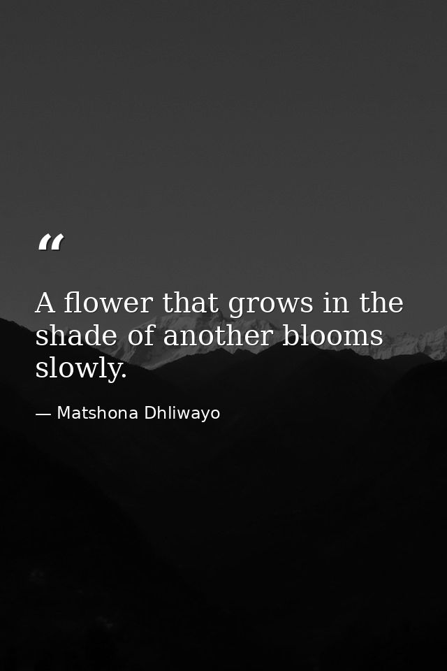 A flower that grows in the shade of another blooms slowly. — Matshona Dhliwayo
