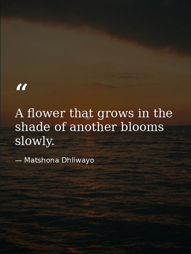 A flower that grows in the shade of another blooms slowly. — Matshona Dhliwayo