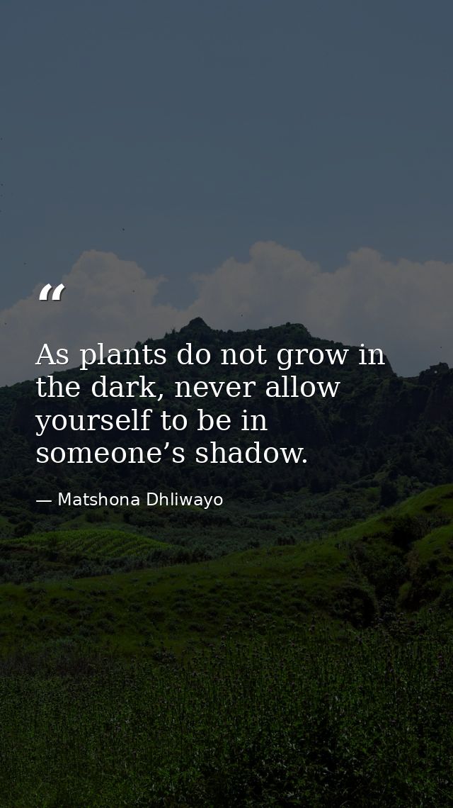 As plants do not grow in the dark, never allow yourself to be in someone’s shadow. — Matshona Dhliwayo