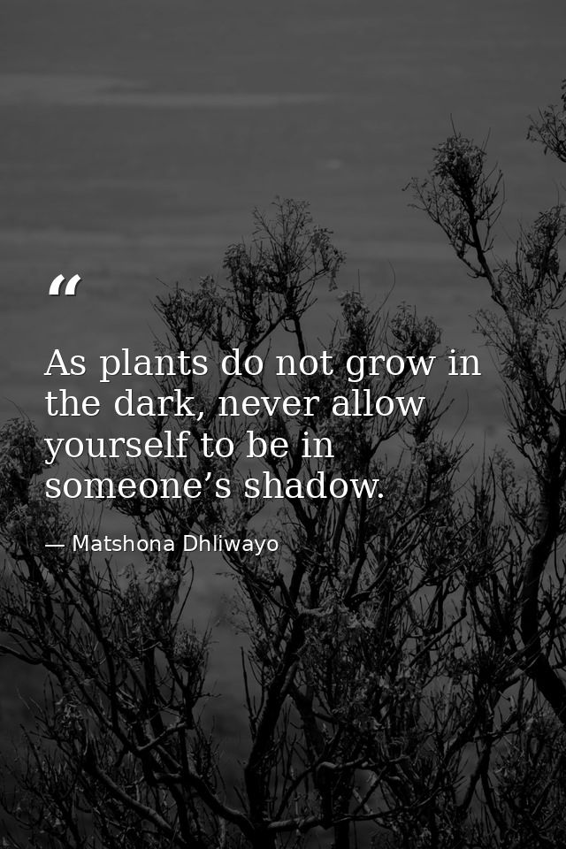 As plants do not grow in the dark, never allow yourself to be in someone’s shadow. — Matshona Dhliwayo
