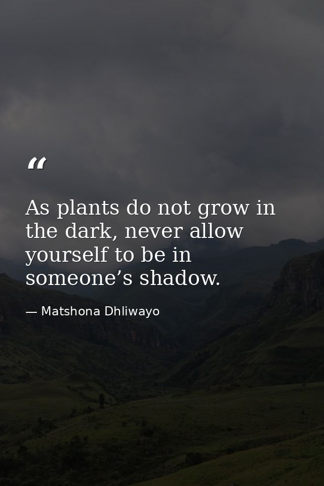 As plants do not grow in the dark, never allow yourself to be in someone’s shadow. — Matshona Dhliwayo