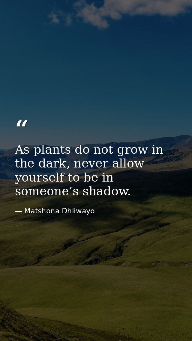 As plants do not grow in the dark, never allow yourself to be in someone’s shadow. — Matshona Dhliwayo