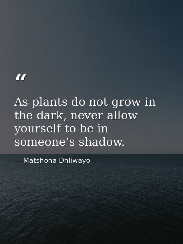 As plants do not grow in the dark, never allow yourself to be in someone’s shadow. — Matshona Dhliwayo