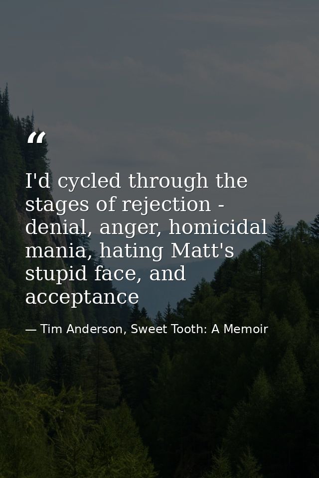 I'd cycled through the stages of rejection - denial, anger, homicidal mania, hating Matt's stupid face, and acceptance — Tim Anderson, Sweet Tooth: A Memoir