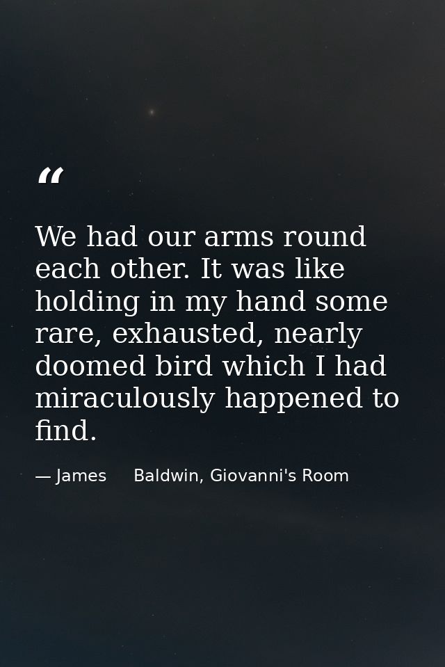We had our arms round each other. It was like holding in my hand some rare, exhausted, nearly doomed bird which I had mi — James     Baldwin, Giovanni's Room