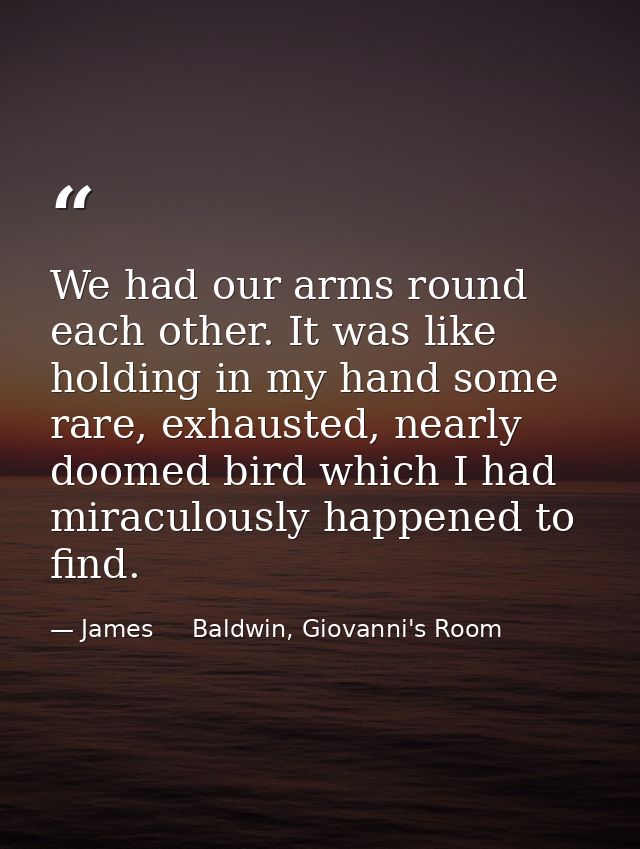 We had our arms round each other. It was like holding in my hand some rare, exhausted, nearly doomed bird which I had mi — James     Baldwin, Giovanni's Room