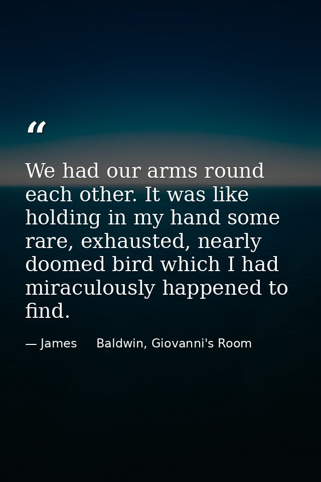 We had our arms round each other. It was like holding in my hand some rare, exhausted, nearly doomed bird which I had mi — James     Baldwin, Giovanni's Room