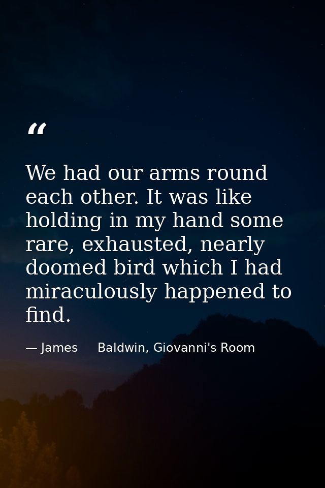 We had our arms round each other. It was like holding in my hand some rare, exhausted, nearly doomed bird which I had mi — James     Baldwin, Giovanni's Room