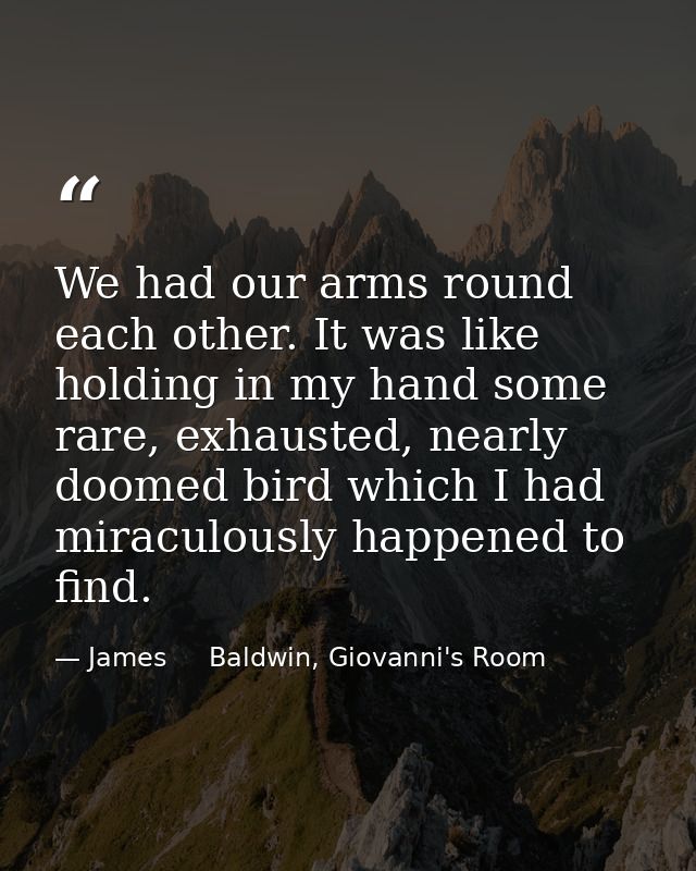 We had our arms round each other. It was like holding in my hand some rare, exhausted, nearly doomed bird which I had mi — James     Baldwin, Giovanni's Room