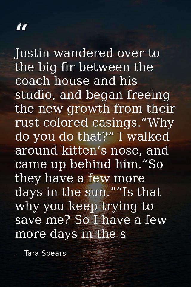 Justin wandered over to the big fir between the coach house and his studio, and began freeing the new growth from their  — Tara Spears