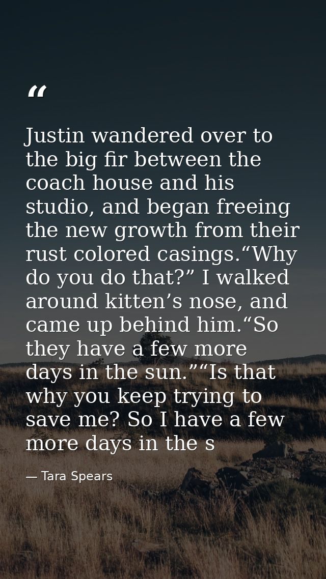Justin wandered over to the big fir between the coach house and his studio, and began freeing the new growth from their  — Tara Spears