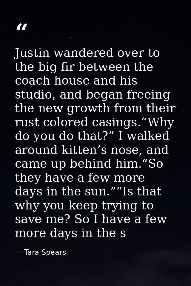 Justin wandered over to the big fir between the coach house and his studio, and began freeing the new growth from their  — Tara Spears