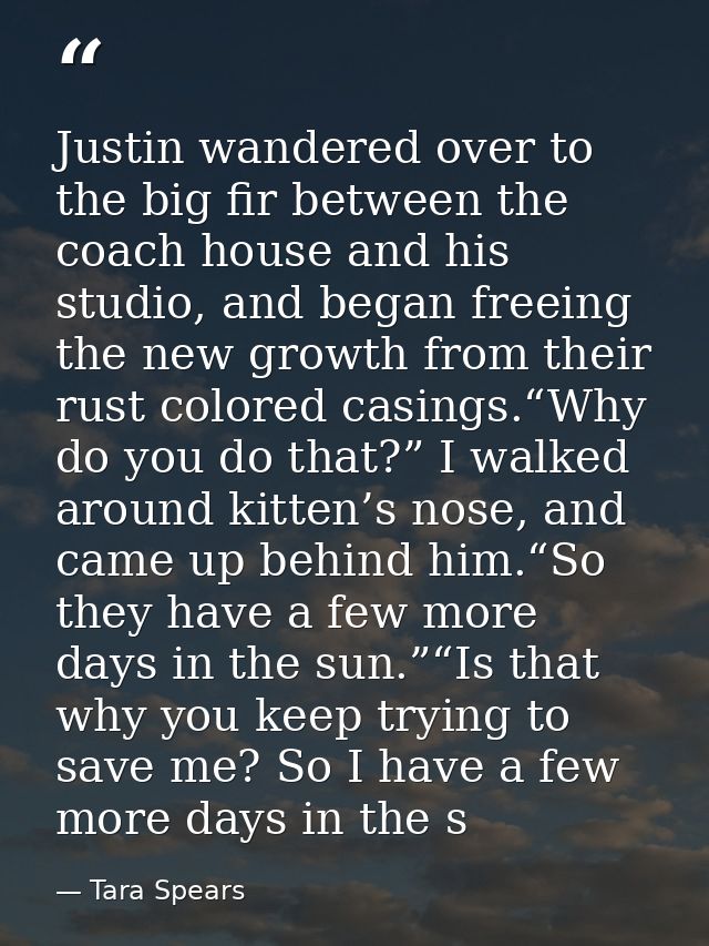 Justin wandered over to the big fir between the coach house and his studio, and began freeing the new growth from their  — Tara Spears