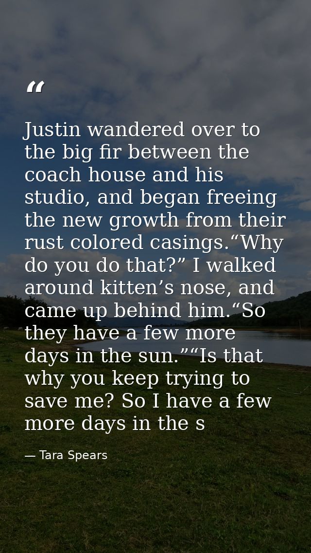Justin wandered over to the big fir between the coach house and his studio, and began freeing the new growth from their  — Tara Spears