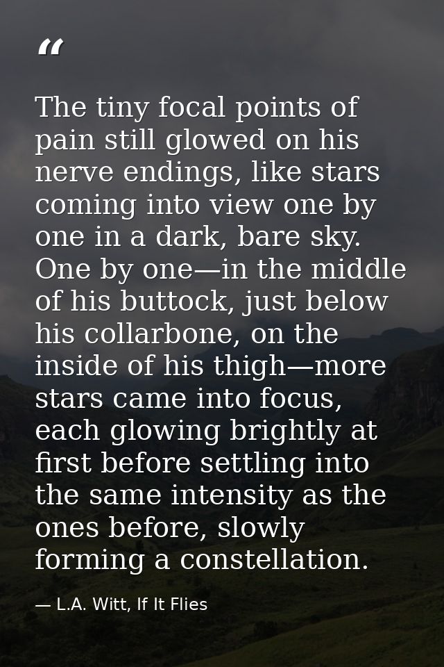 The tiny focal points of pain still glowed on his nerve endings, like stars coming into view one by one in a dark, bare  — L.A. Witt, If It Flies