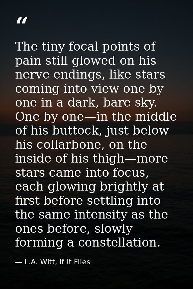 The tiny focal points of pain still glowed on his nerve endings, like stars coming into view one by one in a dark, bare  — L.A. Witt, If It Flies