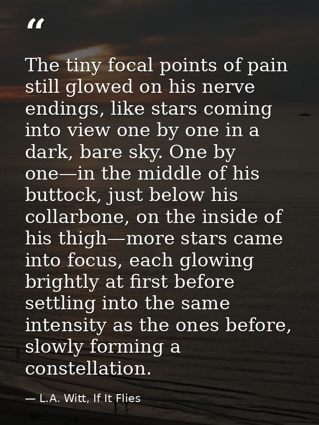 The tiny focal points of pain still glowed on his nerve endings, like stars coming into view one by one in a dark, bare  — L.A. Witt, If It Flies