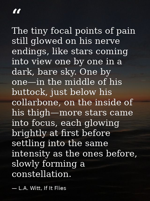 The tiny focal points of pain still glowed on his nerve endings, like stars coming into view one by one in a dark, bare  — L.A. Witt, If It Flies