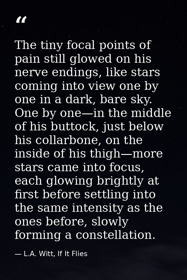 The tiny focal points of pain still glowed on his nerve endings, like stars coming into view one by one in a dark, bare  — L.A. Witt, If It Flies