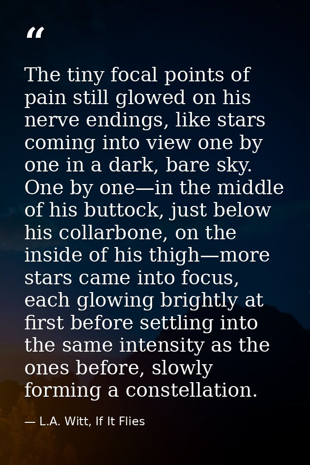 The tiny focal points of pain still glowed on his nerve endings, like stars coming into view one by one in a dark, bare  — L.A. Witt, If It Flies