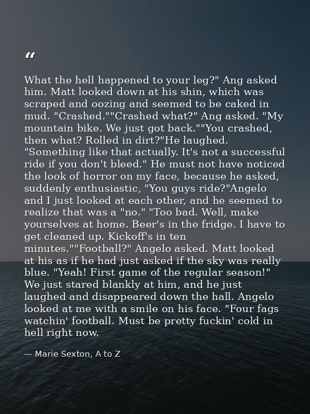 What the hell happened to your leg?" Ang asked him. Matt looked down at his shin, which was scraped and oozing and seeme — Marie Sexton, A to Z