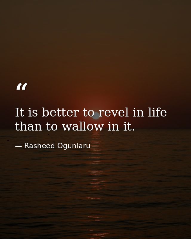 It is better to revel in life than to wallow in it. — Rasheed Ogunlaru
