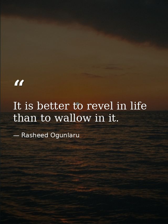 It is better to revel in life than to wallow in it. — Rasheed Ogunlaru
