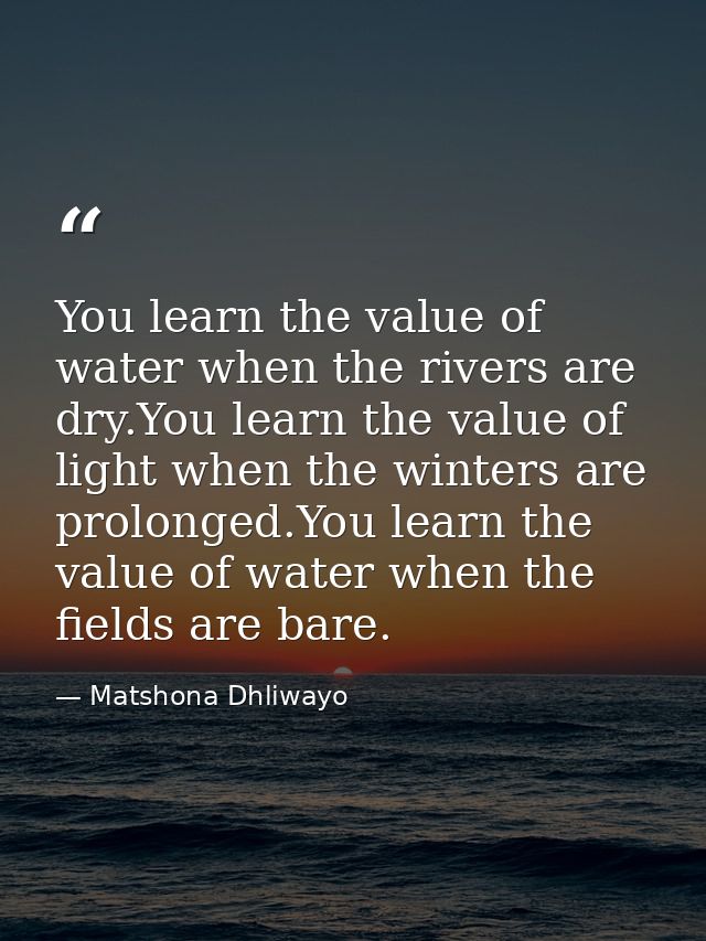 You learn the value of water when the rivers are dry.You learn the value of light when the winters are prolonged.You lea — Matshona Dhliwayo