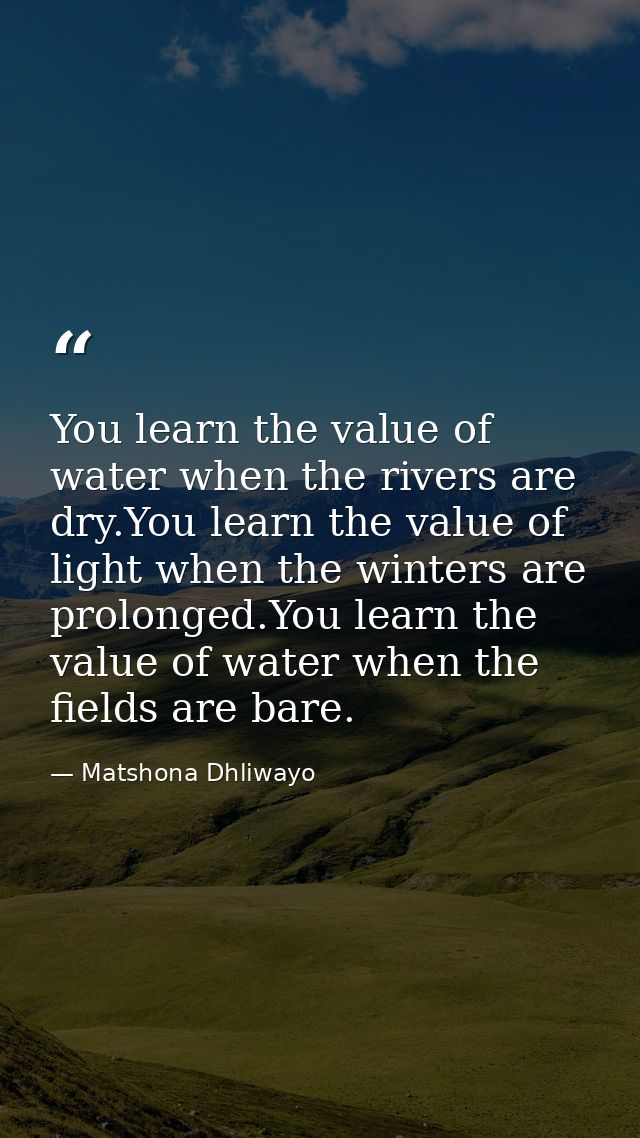 You learn the value of water when the rivers are dry.You learn the value of light when the winters are prolonged.You lea — Matshona Dhliwayo