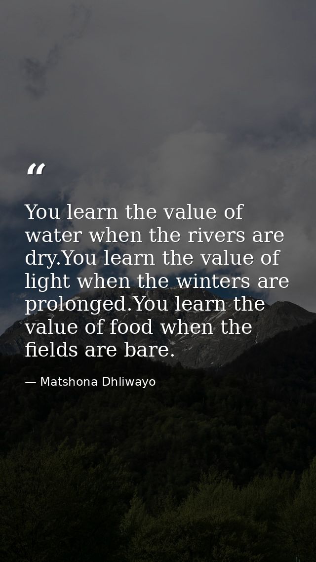 You learn the value of water when the rivers are dry.You learn the value of light when the winters are prolonged.You lea — Matshona Dhliwayo