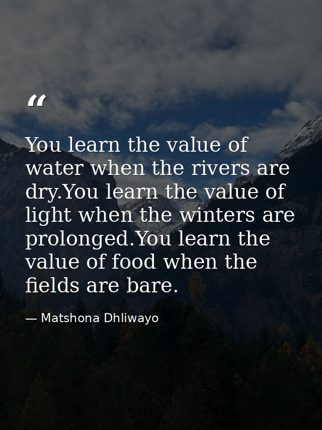You learn the value of water when the rivers are dry.You learn the value of light when the winters are prolonged.You lea — Matshona Dhliwayo