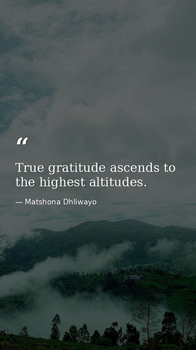 True gratitude ascends to the highest altitudes. — Matshona Dhliwayo