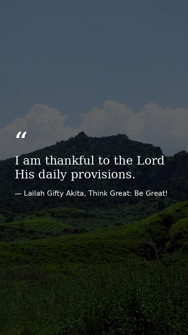 I am thankful to the Lord His daily provisions. — Lailah Gifty Akita, Think Great: Be Great!