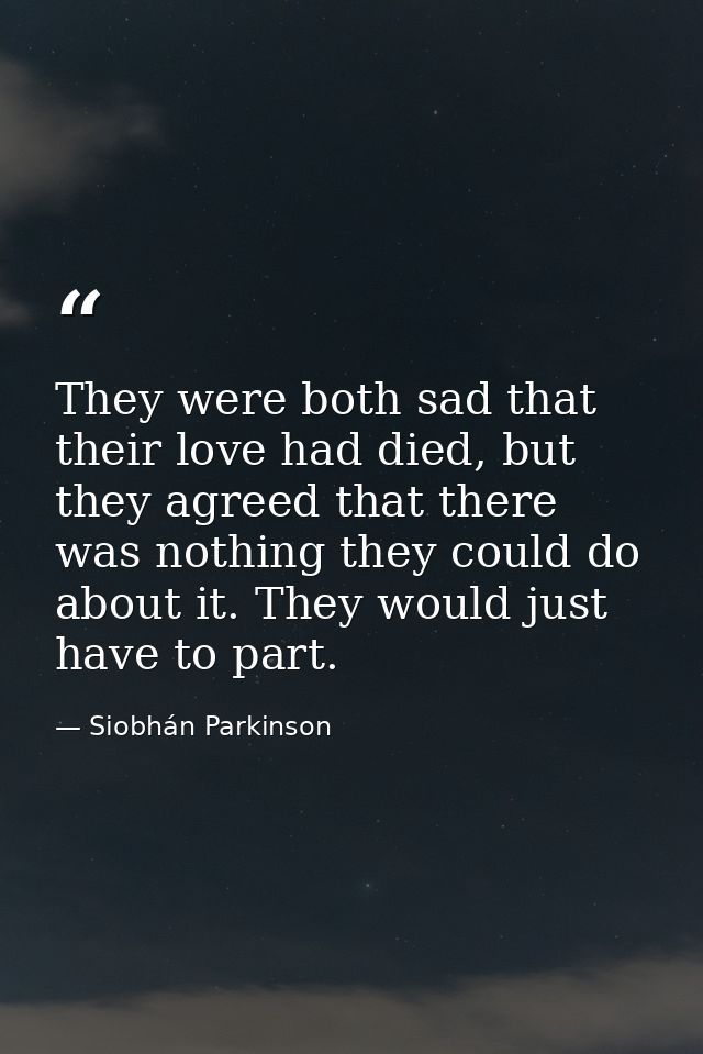 They were both sad that their love had died, but they agreed that there was nothing they could do about it. They would j — Siobhán Parkinson