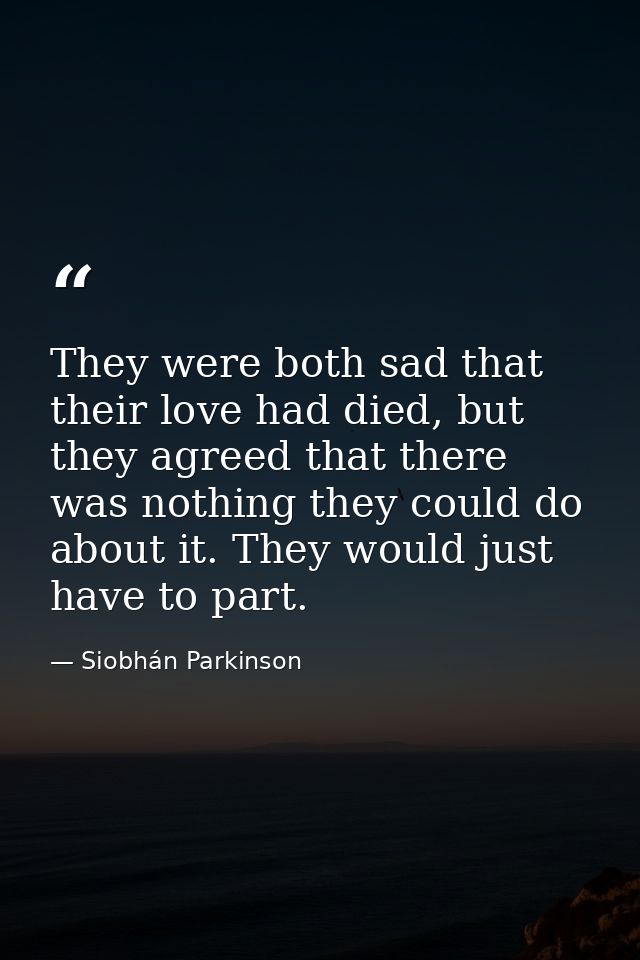 They were both sad that their love had died, but they agreed that there was nothing they could do about it. They would j — Siobhán Parkinson