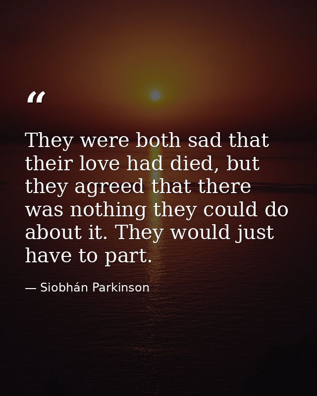 They were both sad that their love had died, but they agreed that there was nothing they could do about it. They would j — Siobhán Parkinson