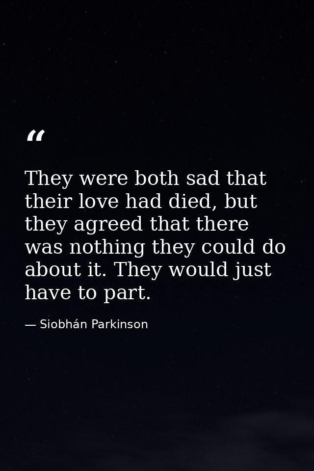 They were both sad that their love had died, but they agreed that there was nothing they could do about it. They would j — Siobhán Parkinson