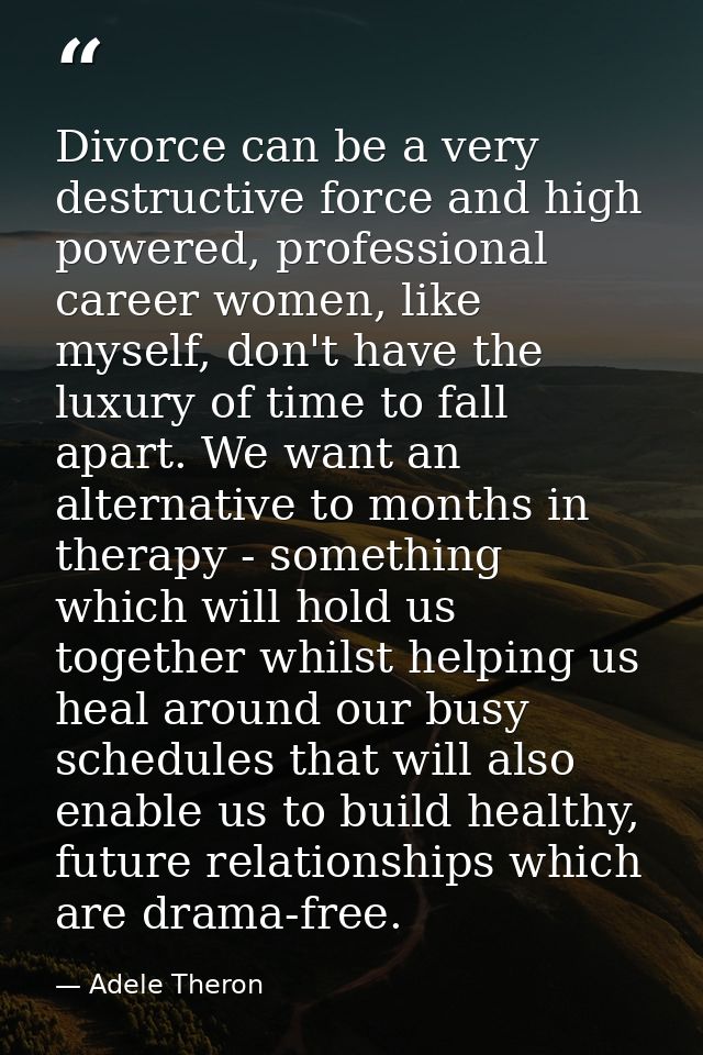 Divorce can be a very destructive force and high powered, professional career women, like myself, don't have the luxury  — Adele Theron