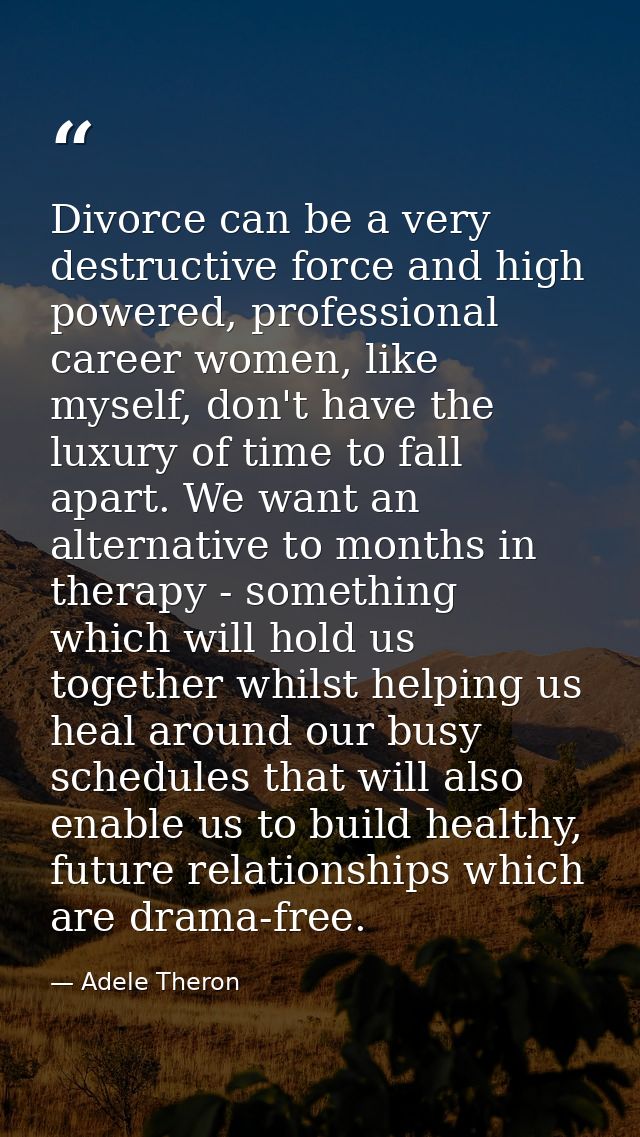 Divorce can be a very destructive force and high powered, professional career women, like myself, don't have the luxury  — Adele Theron
