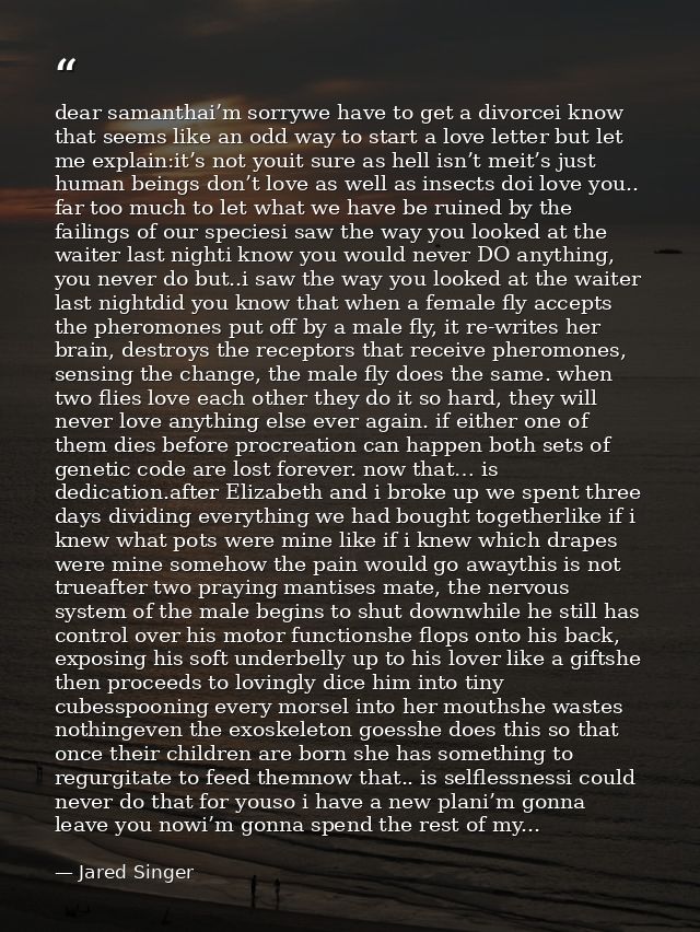 dear samanthai’m sorrywe have to get a divorcei know that seems like an odd way to start a love letter but let me explai — Jared Singer