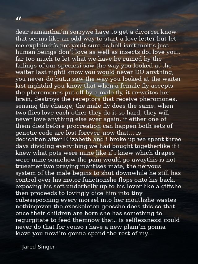 dear samanthai’m sorrywe have to get a divorcei know that seems like an odd way to start a love letter but let me explai — Jared Singer