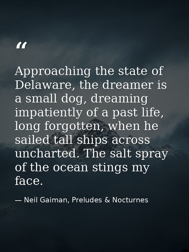 Approaching the state of Delaware, the dreamer is a small dog, dreaming impatiently of a past life, long forgotten, when — Neil Gaiman, Preludes & Nocturnes