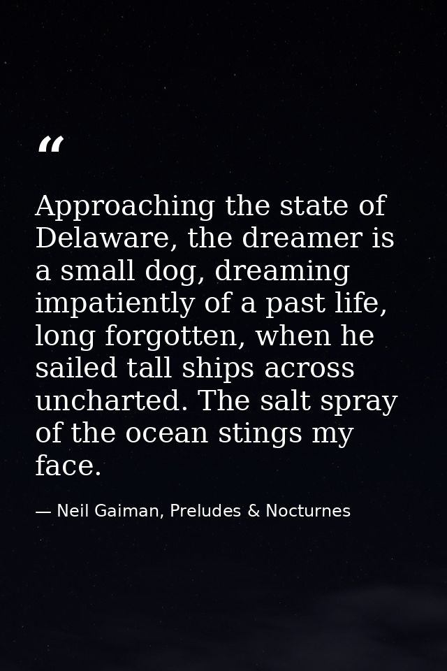 Approaching the state of Delaware, the dreamer is a small dog, dreaming impatiently of a past life, long forgotten, when — Neil Gaiman, Preludes & Nocturnes