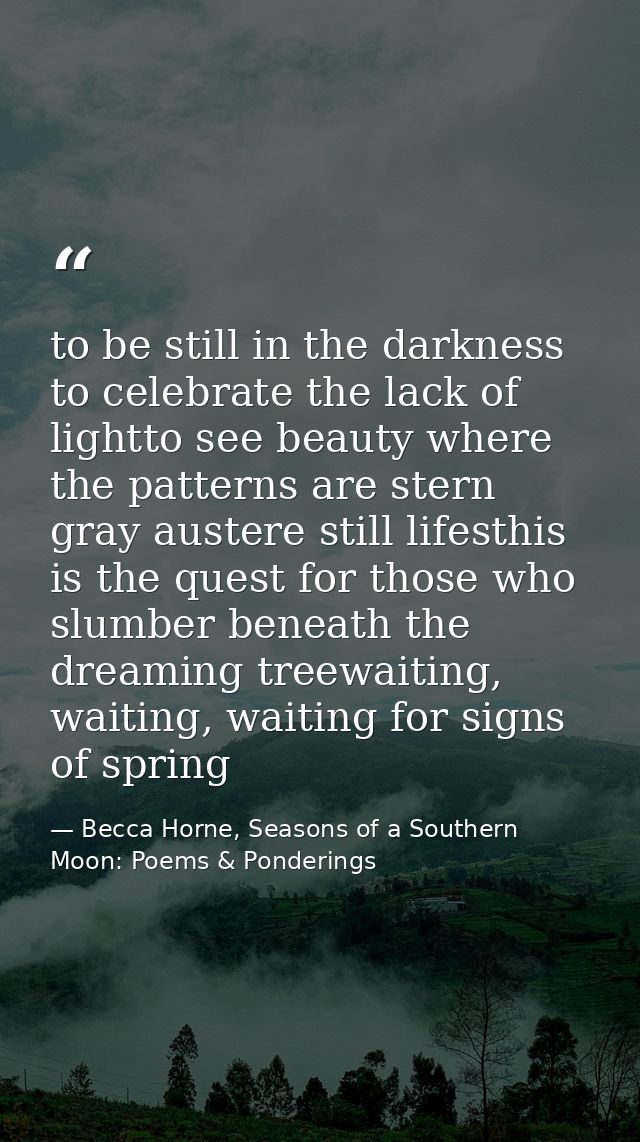 to be still in the darkness to celebrate the lack of lightto see beauty where the patterns are stern gray austere still  — Becca Horne, Seasons of a Southern Moon: Poems & Ponderings