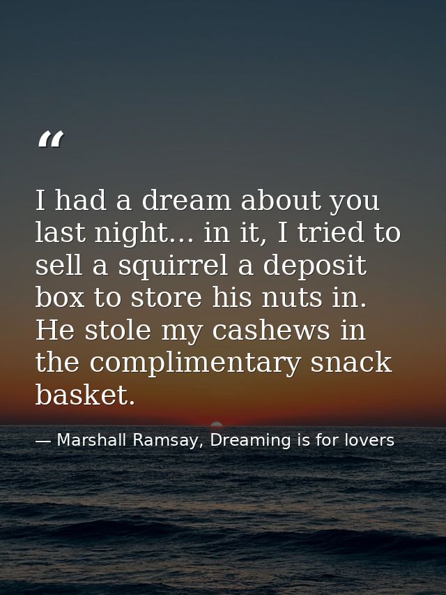 I had a dream about you last night... in it, I tried to sell a squirrel a deposit box to store his nuts in. He stole my  — Marshall Ramsay, Dreaming is for lovers