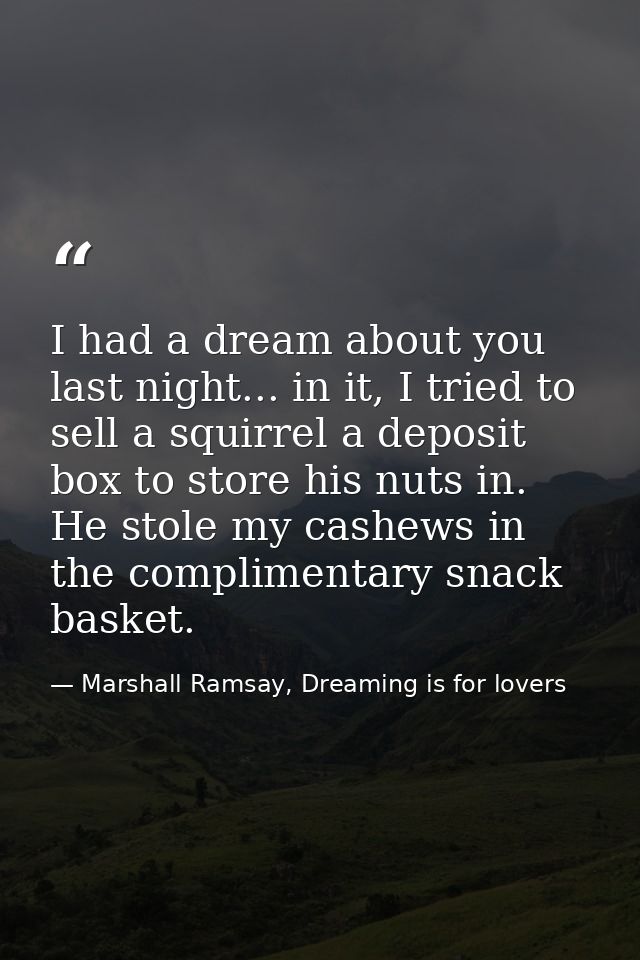 I had a dream about you last night... in it, I tried to sell a squirrel a deposit box to store his nuts in. He stole my  — Marshall Ramsay, Dreaming is for lovers