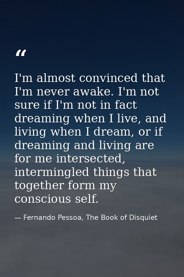 I'm almost convinced that I'm never awake. I'm not sure if I'm not in fact dreaming when I live, and living when I dream — Fernando Pessoa, The Book of Disquiet